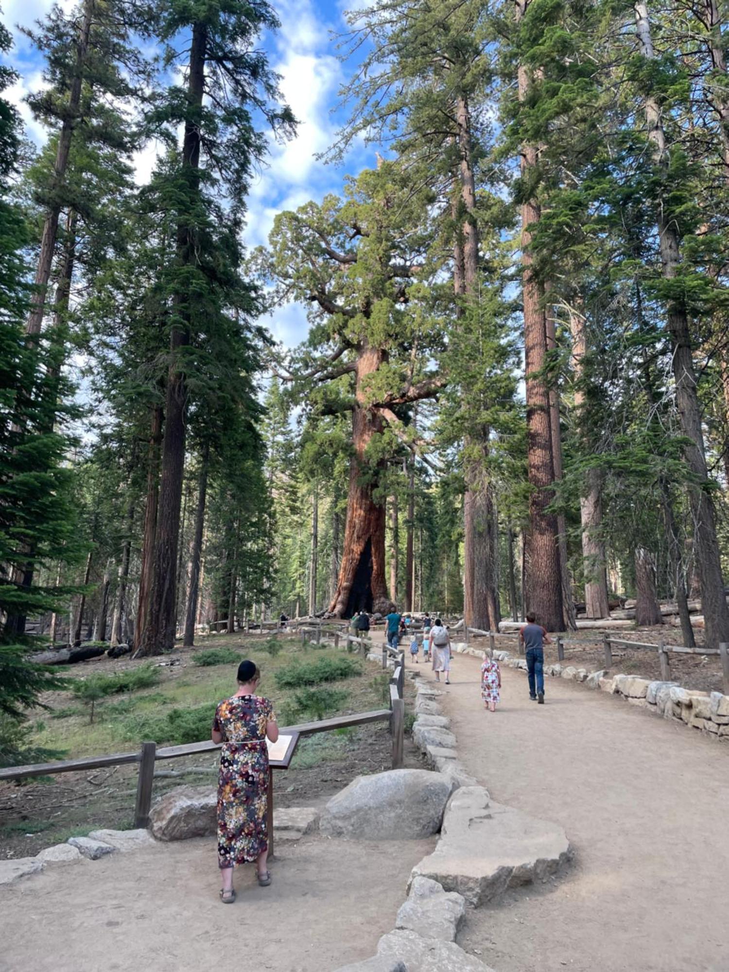 Stewart Chalet @ Yosemite/巴斯莱克 外观 照片
