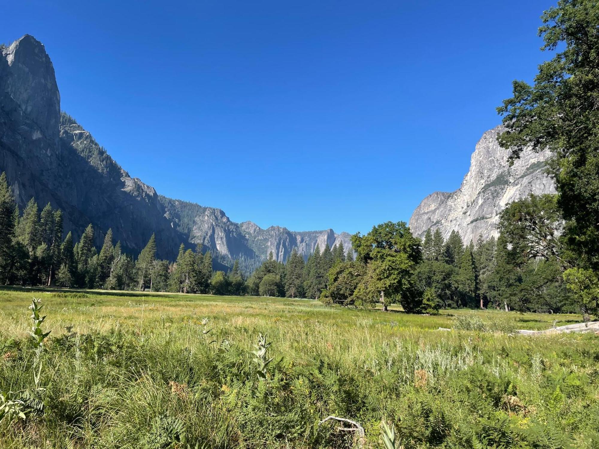 Stewart Chalet @ Yosemite/巴斯莱克 外观 照片